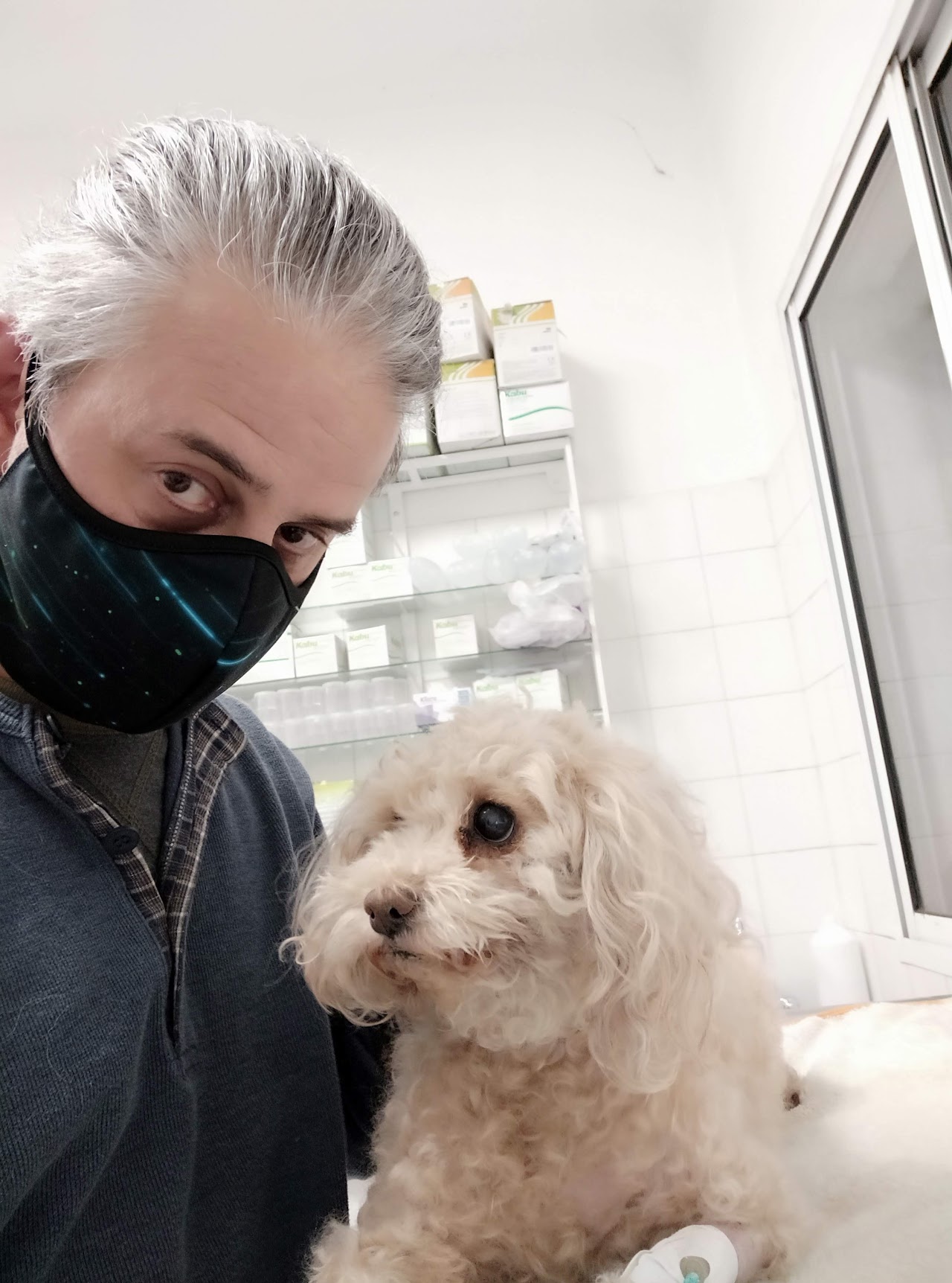 Equipo veterinario con paciente canino en Hospital Veterinario Julieta